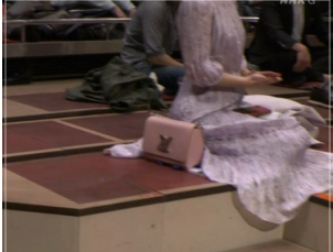 溜席の妖精のバッグがすごい 毎回違うヴィトンの値段を調査 コートやマフラーまで